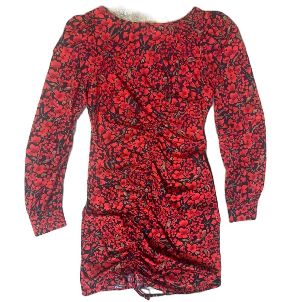 Sheen Long Sleeved Dress Rushing Detail Back Zipper Closure - $28
